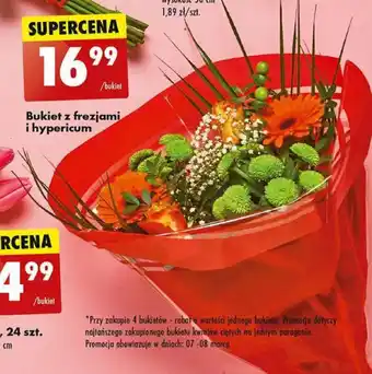 Biedronka Bukiet z frezjami i hypericum oferta