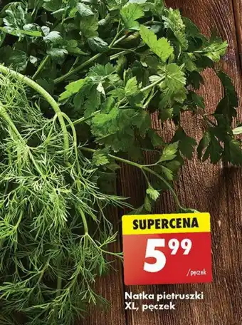 Biedronka Natka pietruszki XL, pęczek oferta