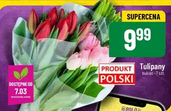 Polomarket Tulipany 7szt. oferta
