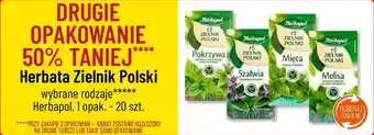 Polomarket Herbata Zielnik Polski Herbapol 20 szt. oferta