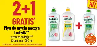 Polomarket Płyn do mycia naczyń Ludwik Grupa Inco 900 ml oferta