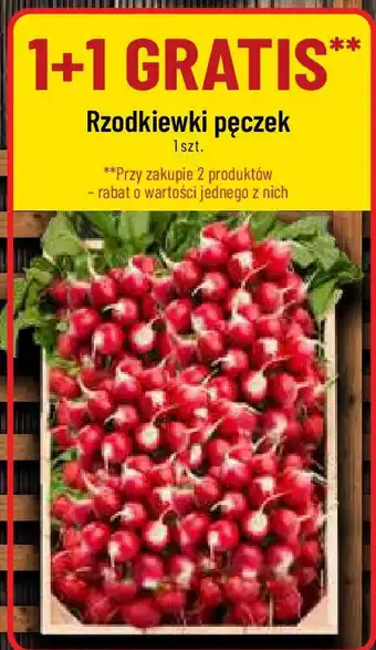 Polomarket Rzodkiewki pęczek oferta