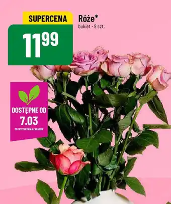 Polomarket Róże 9szt. oferta