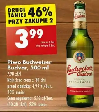 Biedronka Piwo Budweiser Budvar, 500 ml oferta