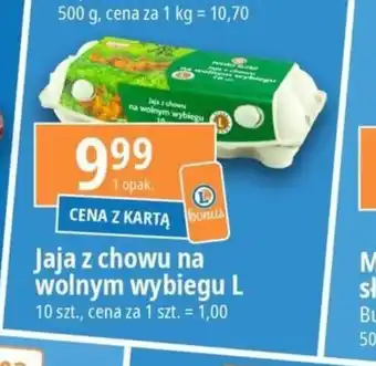 E.Leclerc Jaja z chowu na wolnym wybiegu L oferta