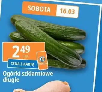 E.Leclerc Ogórki szklarniowe długie oferta