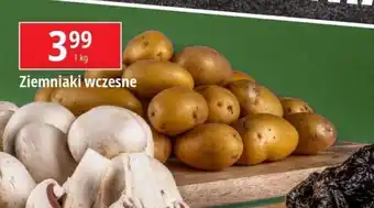 E.Leclerc Ziemniaki wczesne 1kg oferta