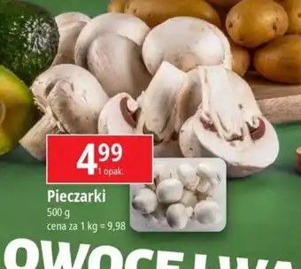 E.Leclerc Pieczarki 500g oferta