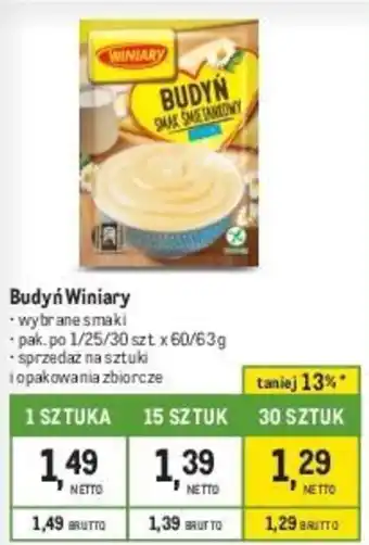 Makro Budyń Winiary 60/63g oferta
