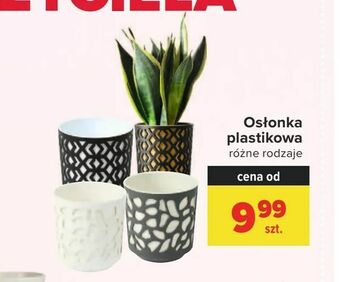 Carrefour Osłonka plastikowa oferta