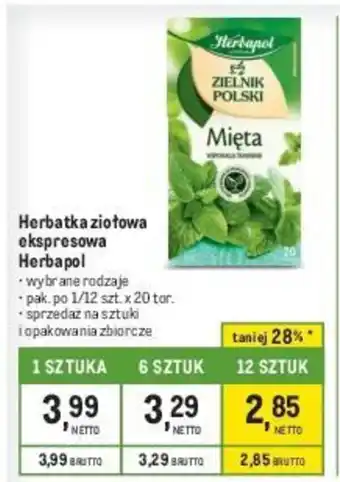 Makro Herbatka ziołowa ekspresowa Herbapol 20 tor. oferta