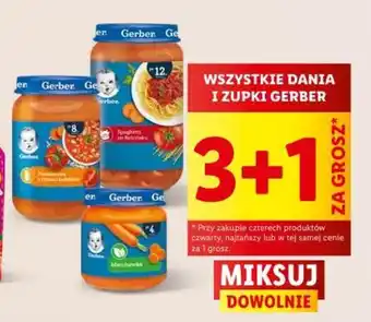 Lidl WSZYSTKIE DANIA I ZUPKI GERBER oferta