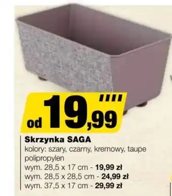 Skrzynka Saga