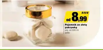 Bricomarche Pojemnik oferta