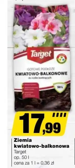 Bricomarche Ziemia Target oferta