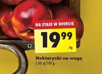 Biedronka Nektarynki na wagę 1 kg oferta