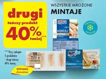 Biedronka WSZYSTKIE MROŻONE MINTAJE oferta