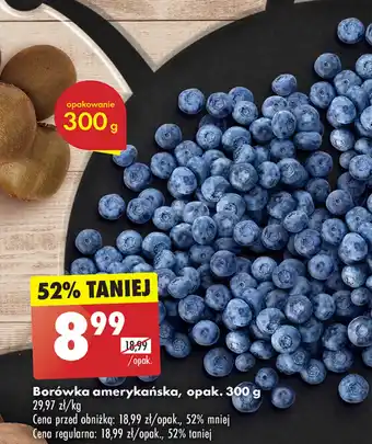 Biedronka Borówka amerykańska oferta