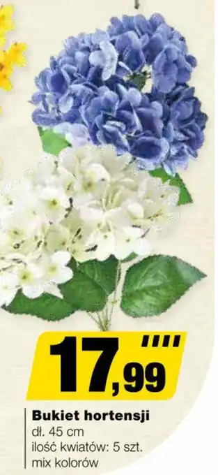 Bricomarche Bukiet hortensji 5 szt. oferta