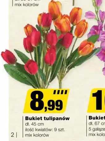 Bricomarche Bukiet tulipanów 9 szt. oferta