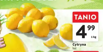 Intermarche Cytryna 1kg oferta