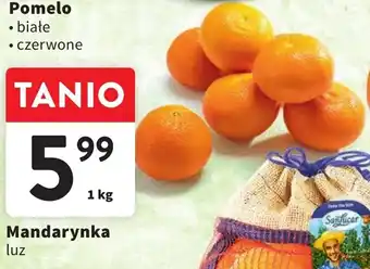 Intermarche Mandarynka 1kg oferta