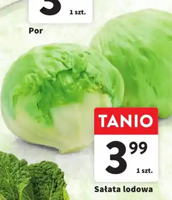 Intermarche Sałata lodowa 1szt. oferta