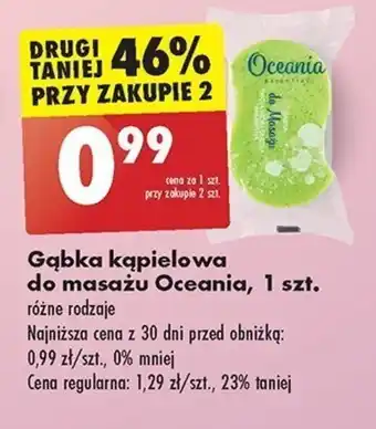 Biedronka Gąbka kąpielowa do masażu Oceania, 1 szt. oferta