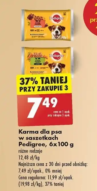 Biedronka Karma dla psa w saszetkach Pedigree, 6x100 g oferta