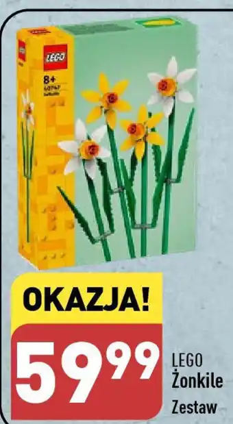 ALDI LEGO Żonkile oferta