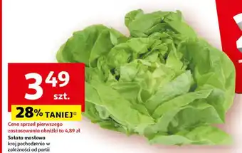 Auchan Sałata masłowa oferta