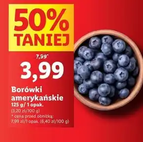 Lidl Borówki amerykańskie oferta