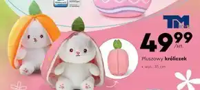 Biedronka Pluszak O oferta