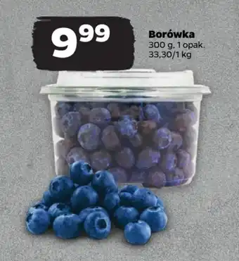 Netto Borówka 300 g oferta