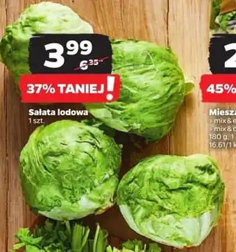 Netto Sałata lodowa 1 szt. oferta