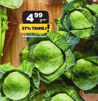 Netto Kapusta wczesna 1 szt. oferta