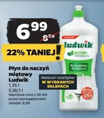 Netto Płyn do naczyń miętowy Ludwik 1,35 l oferta