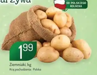 Avita Ziemniaki, kg oferta