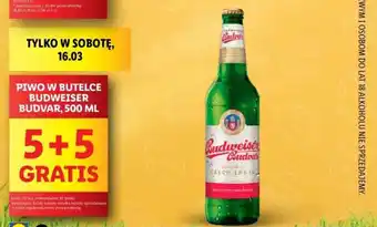 Lidl PIWO W BUTELCE BUDWEISER BUDVAR, 500 ML oferta