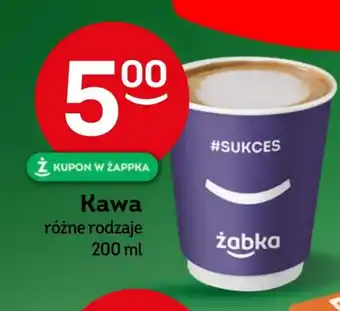 Żabka Kawa Żabka oferta