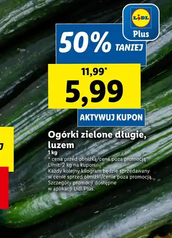 Lidl Ogórki Lidl oferta
