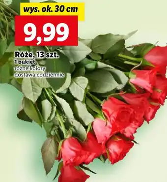 Lidl Bukiet róż Ok oferta