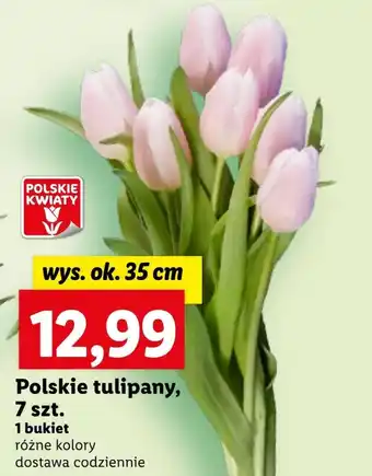 Lidl Bukiet tulipanów Polskie kwiaty oferta