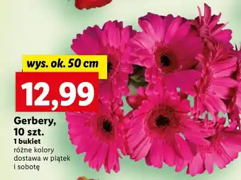 Lidl Bukiet kwiatów Ok oferta