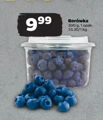 Netto Borówka oferta