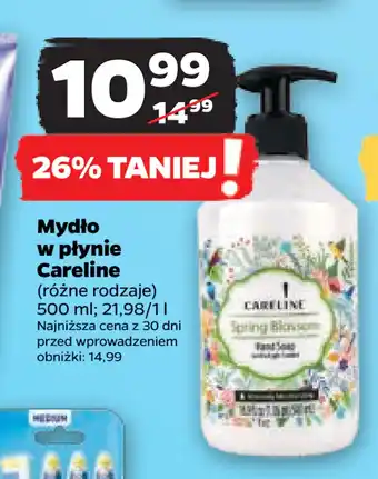 Netto Mydło w płynie Careline oferta