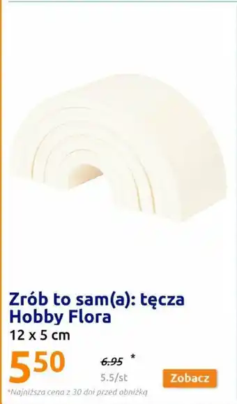 Action Zrób to sam(a): tęcza Hobby Flora 12 x 5 cm oferta