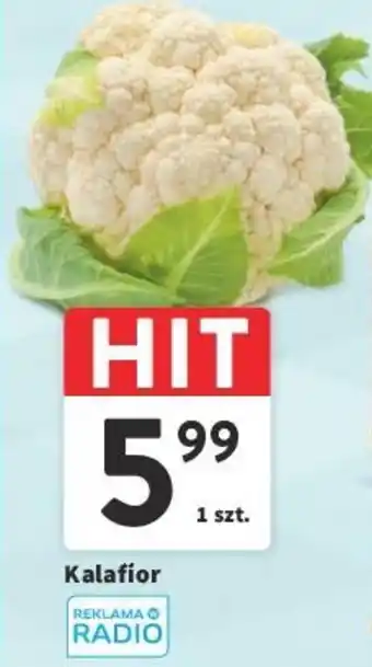 Intermarche Kalafior 1 szt. oferta