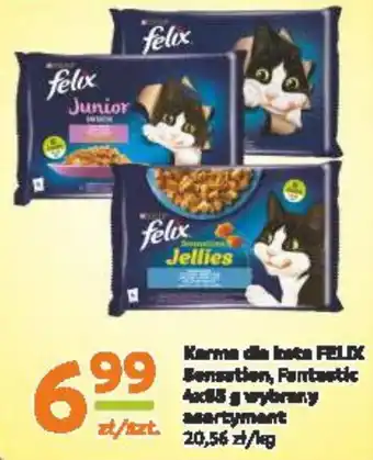 Purina Felix Karma dla kota