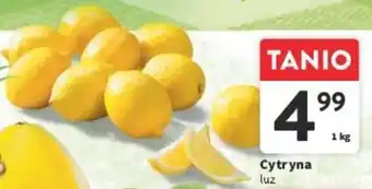 Intermarche Cytryna luz 1 kg oferta